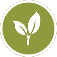 Green Image Icon